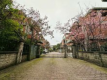 🏡【仲耕精選｜渴望園區獨棟別墅｜三代同堂首選】