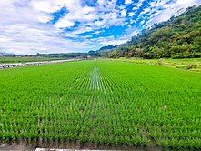  專任🌈低總價農保收租最美農地&nbsp;🌈