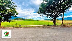 專任🌈鳳林2面臨路｜足坪方正優質美農地🌈