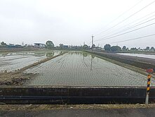 📣獨家📣三星安農溪旁三面路農地