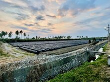 麟洛鄉地勢平坦方正超優質農牧用地