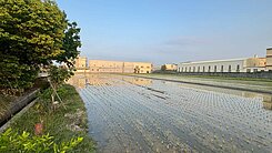 🔥秀水大面寬農地947坪｜臨路10米好規劃