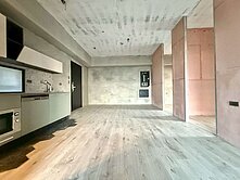 金雅品禾山階．採光三房平車視野戶