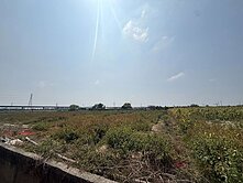 大洲鄰樹谷大道2.6分一般農地 