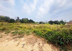 大內國小9.1分高經濟優質農地