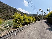 南投水里臨路田園農地