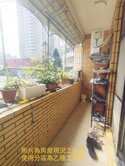 大坪林捷運美三樓~活巷安靜邊間採光好