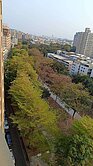 *降價*專約承辦*邊間*景觀二房萬坪森林公園