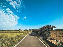 258觀音行政園區文化路旁農地
