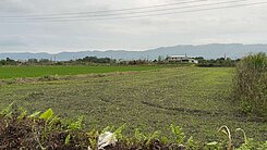 專售-壽豐近考古博物館一分農地