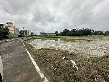 獨賣 新屋市區農地 5米路