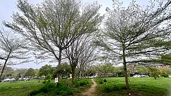 育達科大清幽舒適角間套房