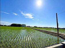 【宜蘭壯圍｜五權段三面臨路優質農地】