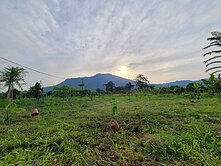 六龜新發公路旁漂亮小農地