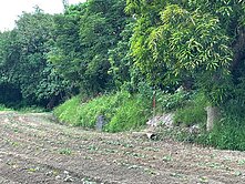 君君精選💎歸仁超稀有2.3分有路美農地