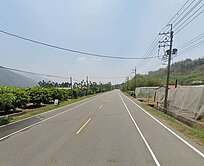 ⭐☘️六龜仙人3.58分美農地☘️👍