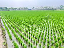 夏田產業園區增值農地