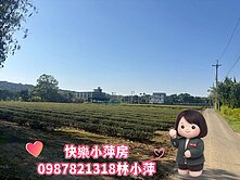 快樂小萍房👉富華街美農地