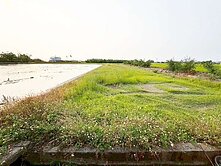 白河下庄路上低總價農地