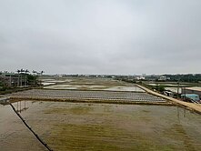 新豐田園四房輕屋齡美透天