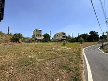 誠售/大樹區井腳路優質乙建.雙面路.已整地