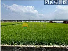 紘緯推薦💕崙子頂💕有電💕樂活養生農地