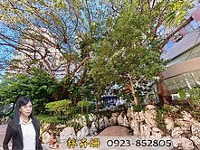 卉姍帶您看屯逢甲熊貓大觀園大3房休旅車位