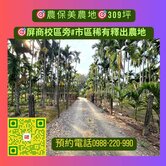 屏東市#歸來國小#市區稀有釋出農地#一分地農保地