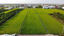 台南麻豆交流道附近│環境漂亮稻田農地