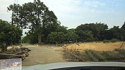 大樹景觀農地有水有電適合休閒農業