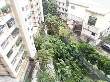 景安宏璽我最便宜-可改3房+坡坪車位