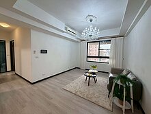 國聚知青視野大3房平車