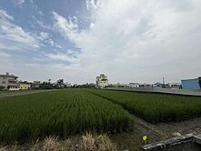 紘緯💕橋頭💕頂塩田便宜有水農地💕稀有釋出