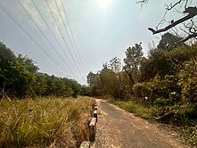 我是開發出價談⚡️大內低總價5分開心農場