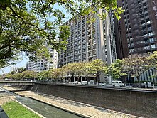 惠宇科博館兩房兩衛綠意盎然樹梢戶