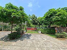 🍎龍潭-私人莊園絕美農地,微光/森林/鳥語🍎