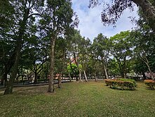 🥇住商-TOP內湖店🏆我的小豪宅壹樓