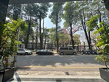 陽光透過樹葉縫隙，灑下碎金，這是對『店面』的溫柔