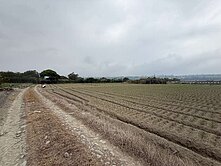 大溪中庄2千坪平坦農地