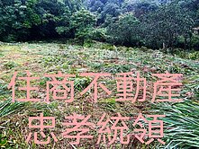 貢寮區枋腳段丙建農牧林業用地