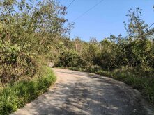 宣漳台東卑南鄉杉原產業道路投資節稅農地