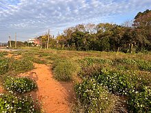 123新屋近66漂亮田+建