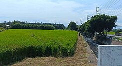 急售(新屋保安路農地)/(臨路)