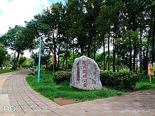 [專約獨賣]龍岡森林公園超值金透店
