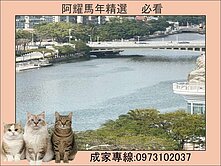 愛河景觀❤️雄女學區宅、高樓2房(車位可另購)