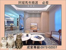 繁華與寧靜自由切換❤️全屋裝潢電梯雙車墅