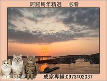 亞灣區，正海景首排❤️百立海洋2房，高質感豪邸