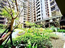 獨家｜櫻花市鎮之櫻｜三房平車｜視野戶