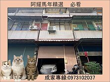 楠梓高大特區｜超低總價｜潛力透天