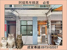 文化中心❤️信義五福學區高CP透天